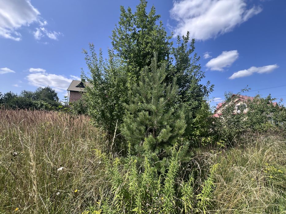 Продаж землі під житлову забудову в Підгородньому