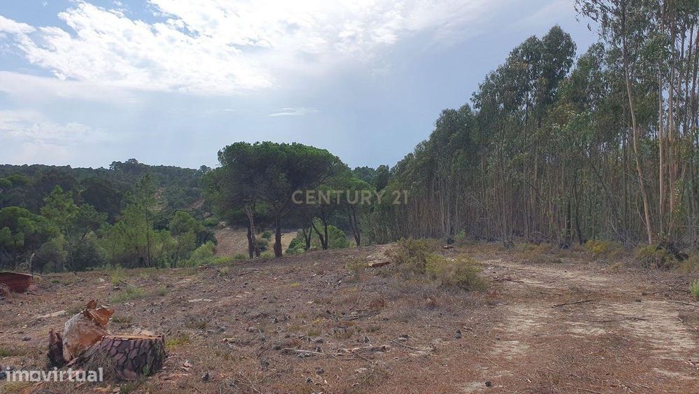 Terreno Rústico em Aiana de Cima - Sesimbra — Castelo (Sesimbra), Setúbal
