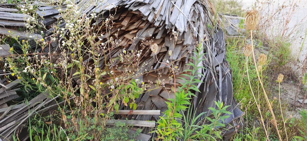 Продам обрізки дубові