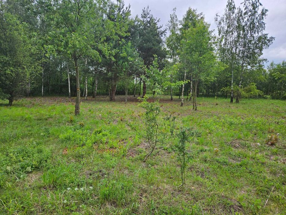 Gołków sprzedam dzialkę inwestycyjną - Widok 4