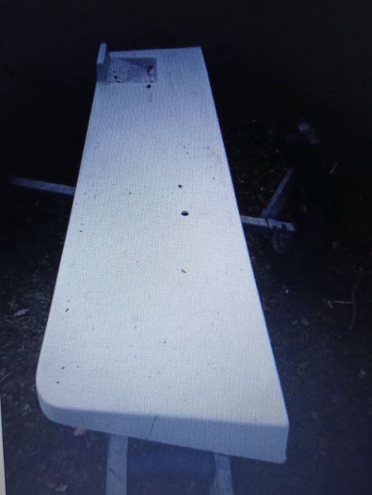 Barco de pesca 5.90m