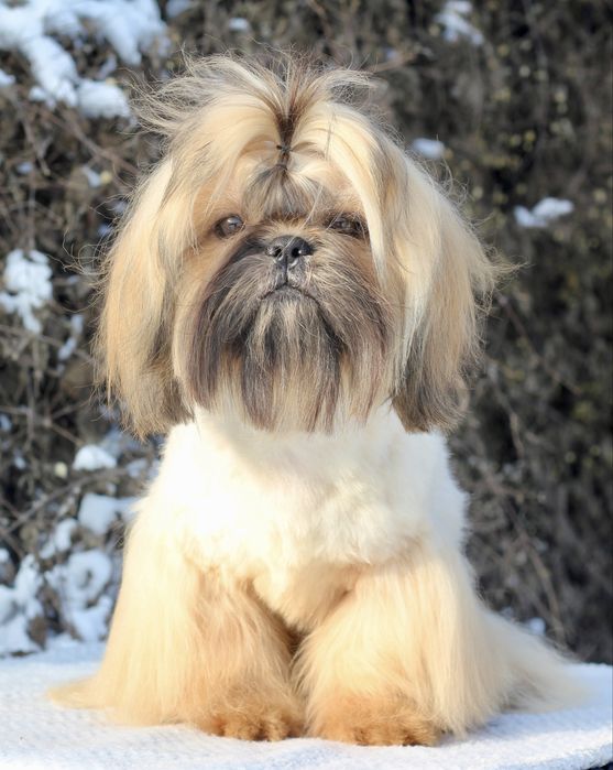 Неймовірний яскравий і ніжний хлопчик