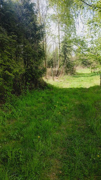 Działka usługowa w Czyżowicach
