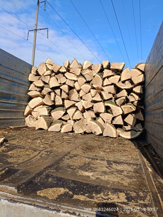 Дрова Нормальный продавец дуб 3000