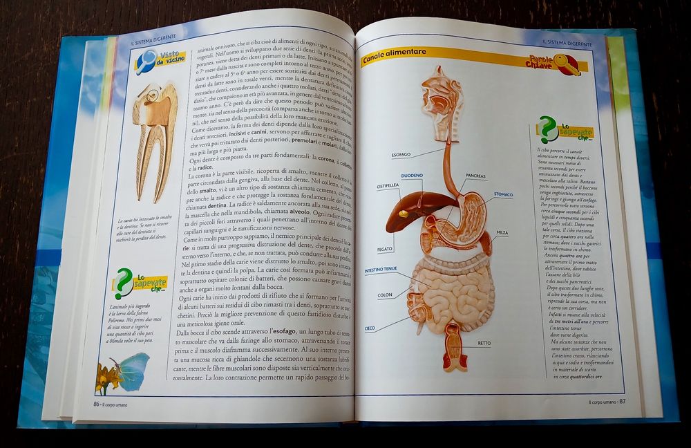 Livro IL CORPO UMANO Grande Atlante di Anatomia