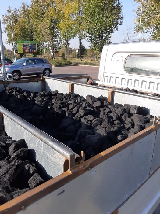 Polski Węgiel orzech