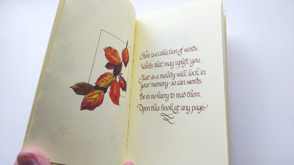 Книги Reflection, Meditations, Lasting Friendship на английском языке