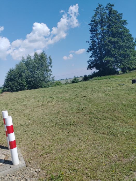 Usługi Ogrodnicze, wertykulacja trawników