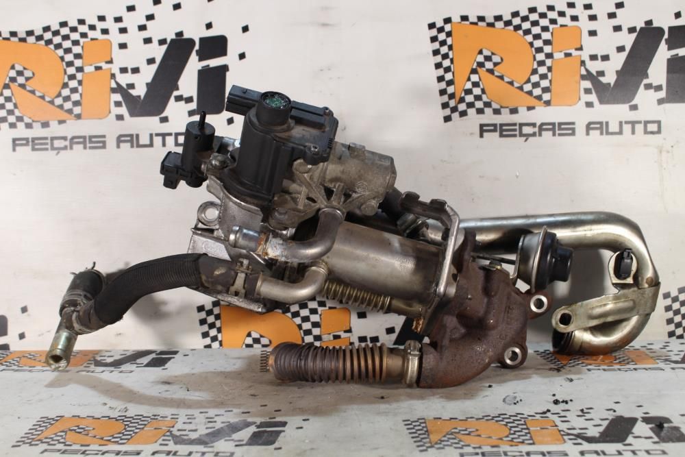 Radiador de gases / EGR RENAULT Megane III Société (BZ0_)