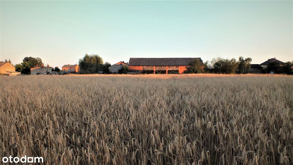 DOM GOSPODARSTWO Rolne k. KALISZA 6,5 ha. Magazyn-