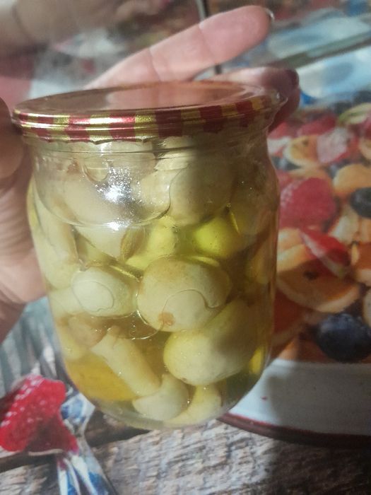 Маринованные домашние грибы