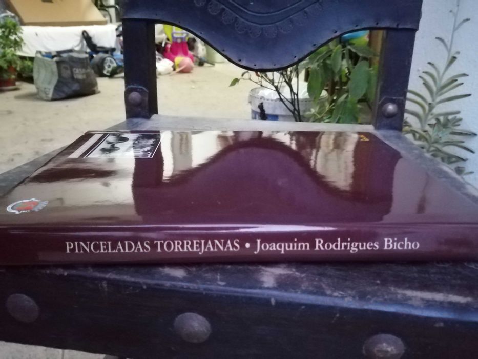 pinceladas torrejanas , joaquim rodrigues bicho , 2000