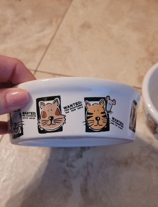 2 керамічні мисочки для котів для води та їжі.