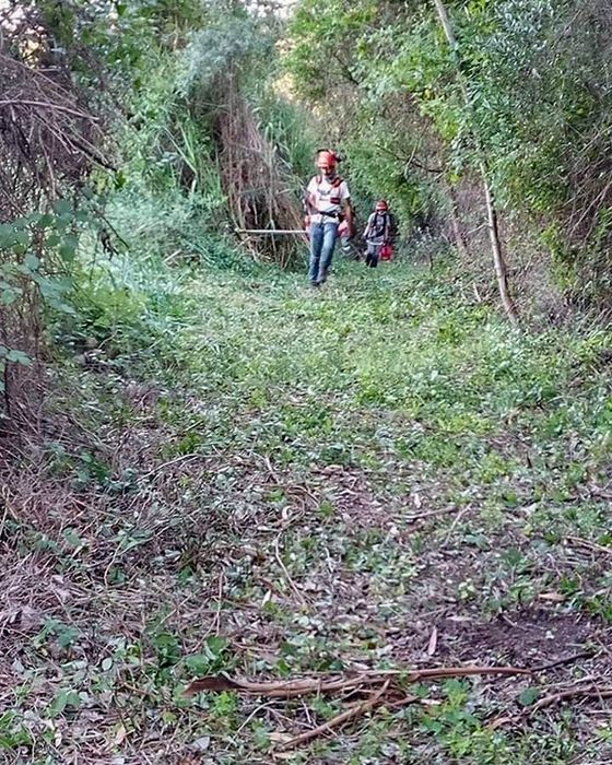 Serviços de limpeza de matos