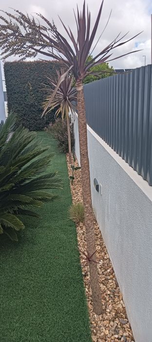 Planta Jardim com  1,60 m