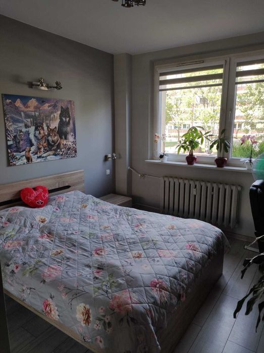Mieszkanie M4-55 m², na parterze w Żorach, BEZ POŚREDNIKÓW - Widok 5