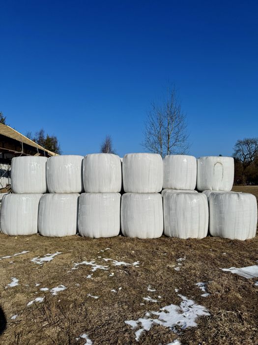 Sianokiszonka baloty bele