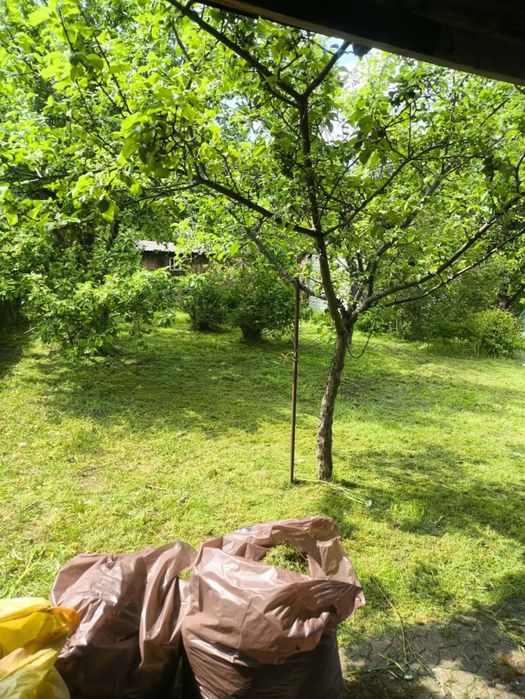 Ogródek Działkowy ROD "Poręba" - Widok 2