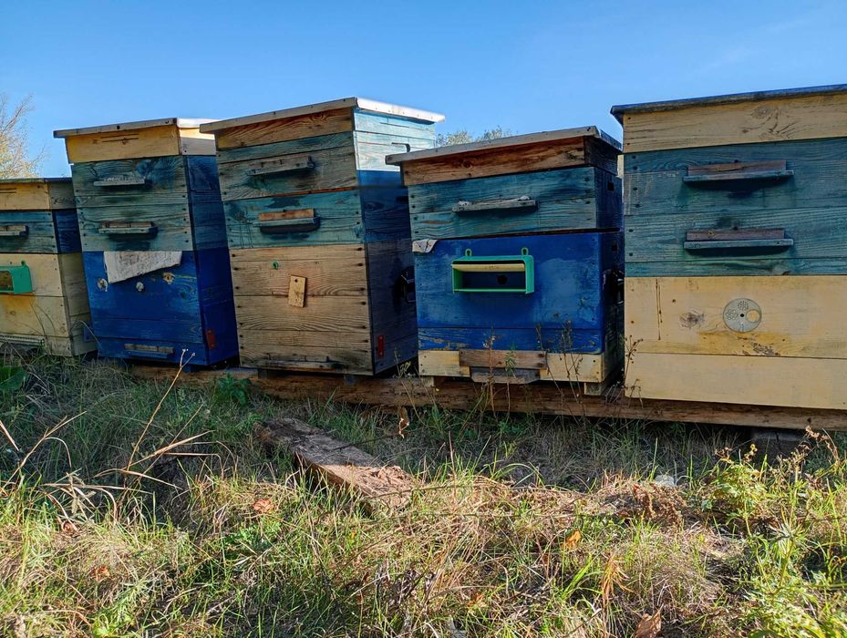 Продам Вулики корпусні