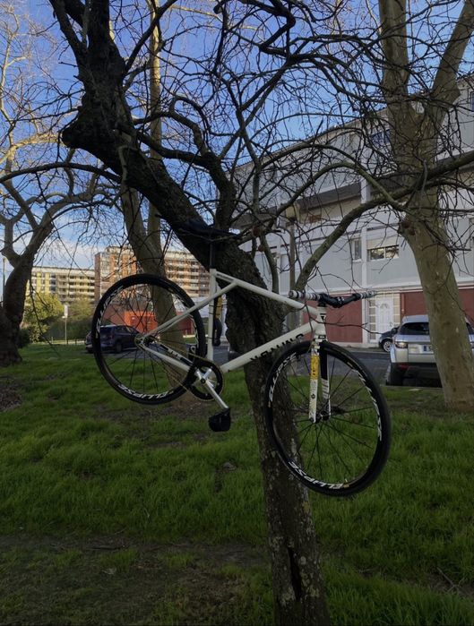Fixed Gear - pinhao fixo / Polo & Bike