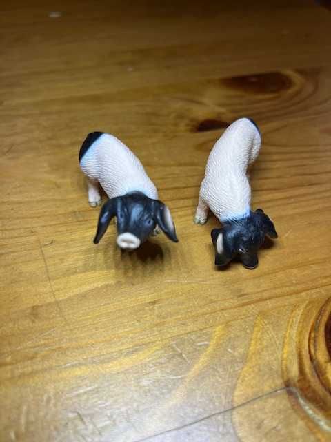 schleich prosię - prosięta Rasy Swabian-Hall 13636 + 13635