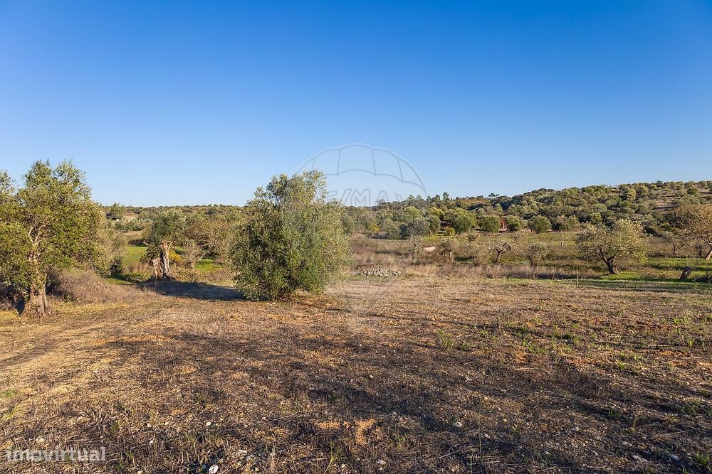 Terreno  para venda