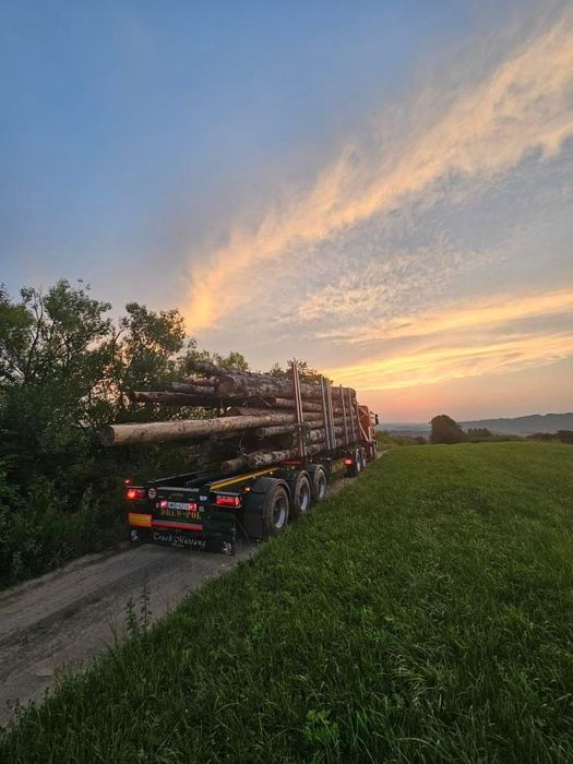 Transport drewna usługi hds