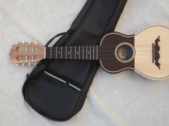 Cavaquinho 6 cordas de meio tampo