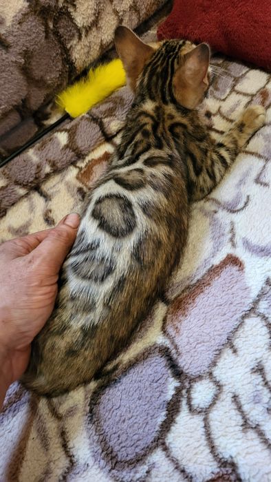 Девочка с документами.