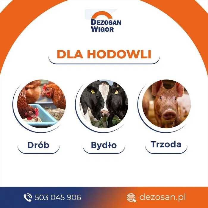 Dezosan Wigor Sucha dezynfekcja ściółki paleta 1000kg DOSTAWA GRATIS