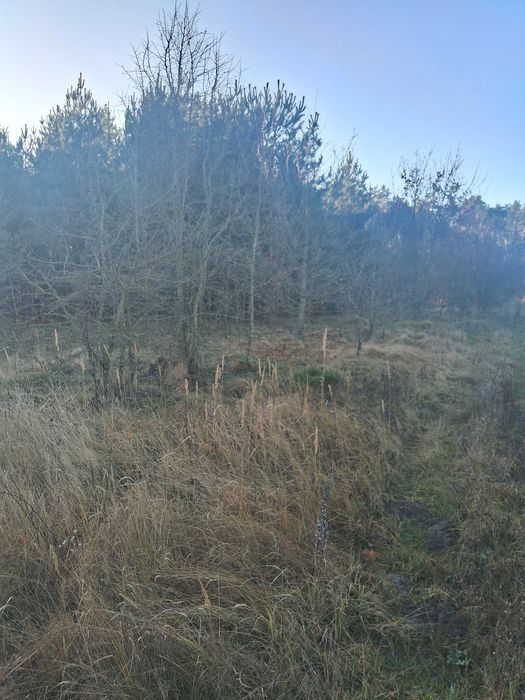 Земельна ділянка 17.5 соток під будівництво,с.Дениші