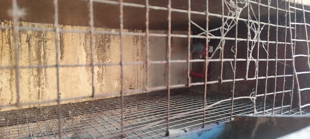 Продаю клітки для циплят чи перепілок
