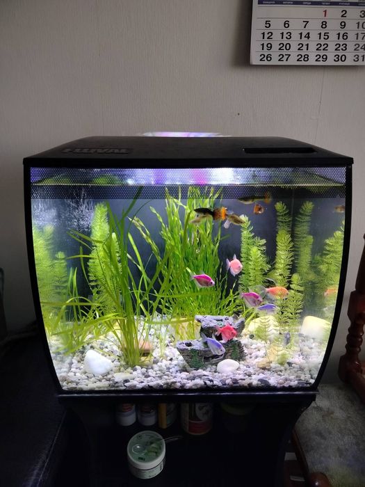 Аквариум FLUVAL 57  (есть всё)
