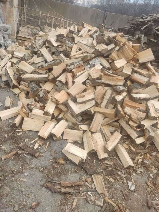 Сухие дрова разных пород