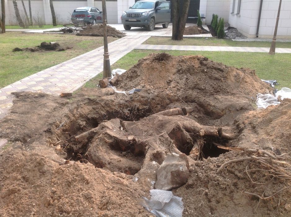 Кронирование удаление деревьев , корчевания пней