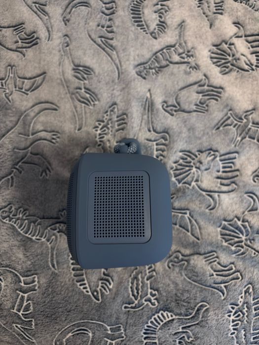 Bose Soundlink Max