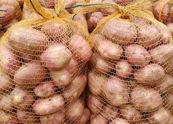 Sprzedam ziemniaki belarosa i soraya