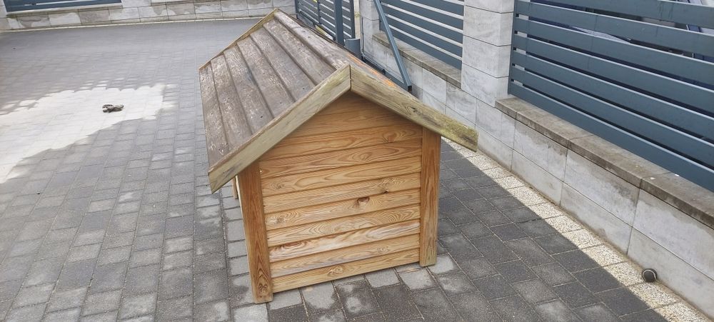 Buda dla  dużego psa