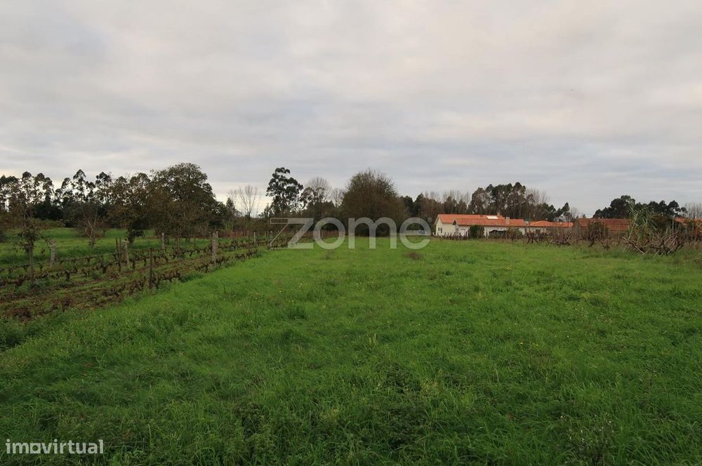 Terreno para construção com 1300m2 — Palhaça, Aveiro