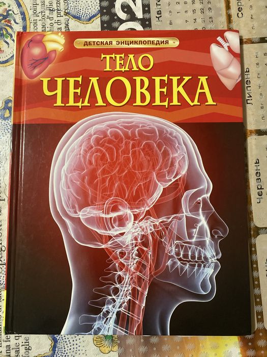 Детская литература