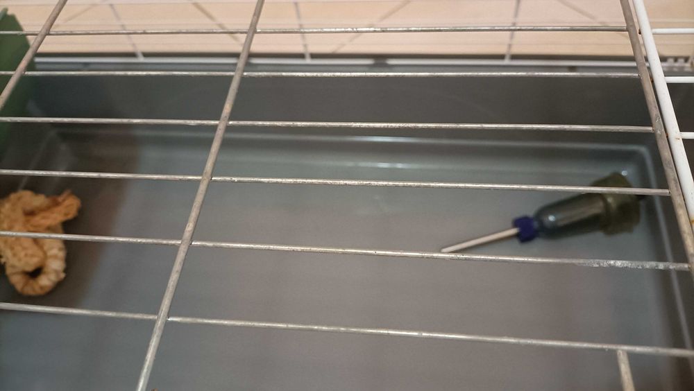 Gaiola para porquinho da Índia e coelhos