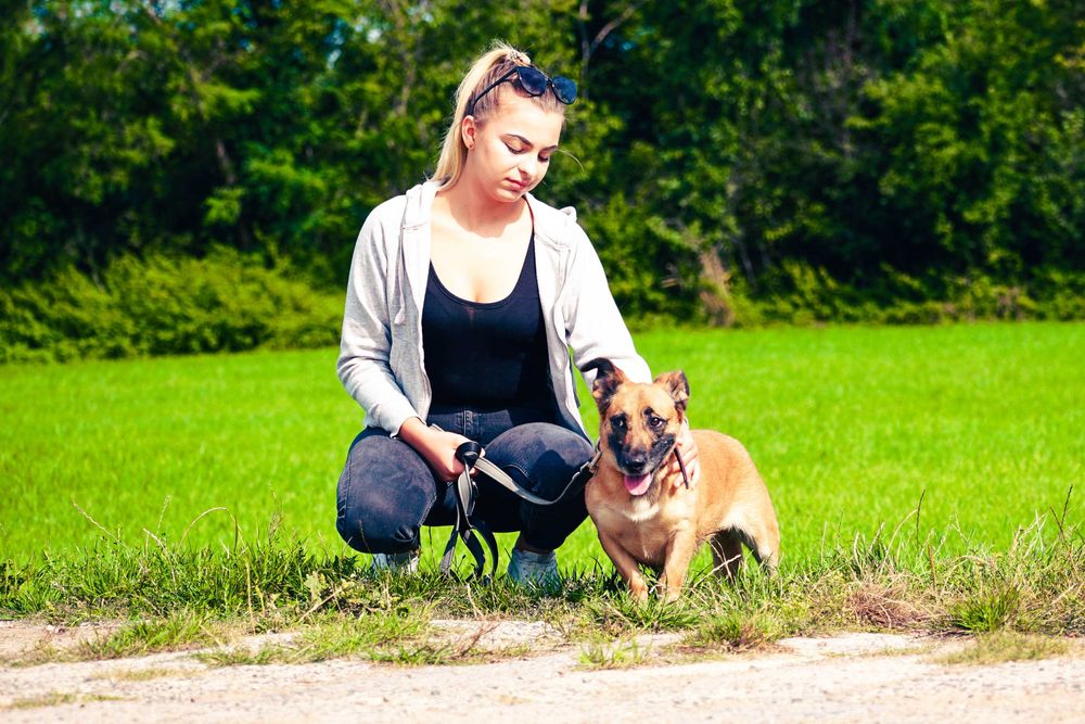 Aurora - niewielka, łagodna sunia szuka domu