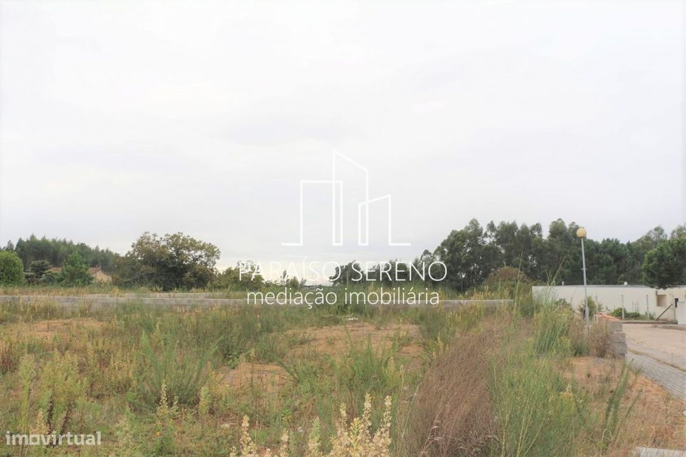 Lote 800m2 Oliveira de Azeméis