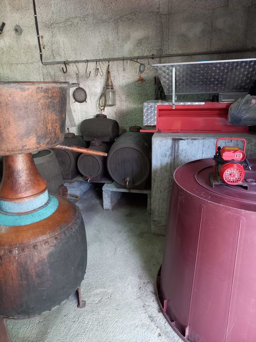 Alquitarra, Pipos para Vinho, Dorna, Bomba de Trasfega