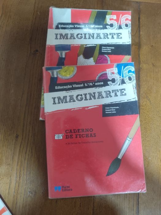 Manuais e cadernos de atividades do 5°ano
