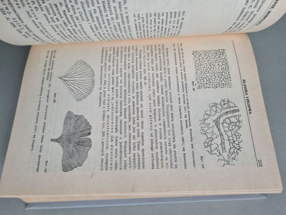 Botanika - E. Strasburger