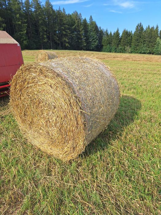 Bele słomy - SUCHE SPOD DACHU
