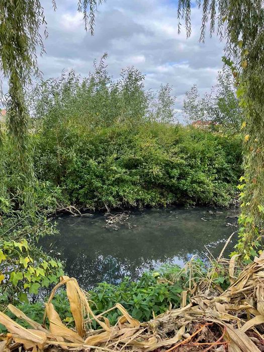 Земельна ділянка