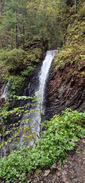 Відпочинок в карпатах