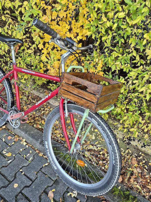 Retro commuter Giant. Drewniana skrzynka. Przedni bagażnik.